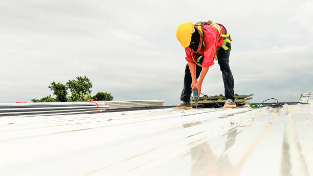 Professional Roofing in Wayland, MI