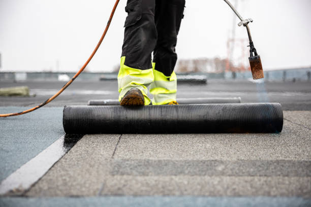 Best Metal Roofing Installation  in Wayland, MI